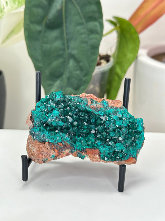 Dioptase d1